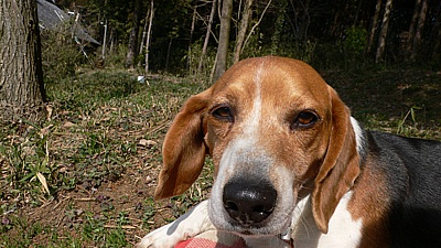 8a021922.jpg