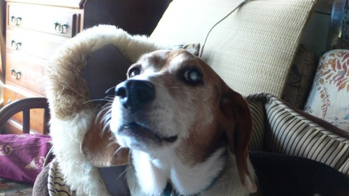 2012-10-04 19:59:11 写真3
