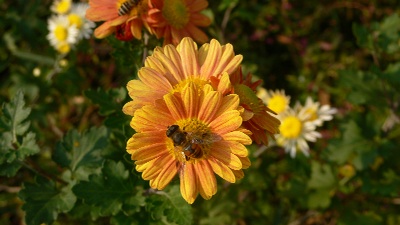 8b779d51.jpg