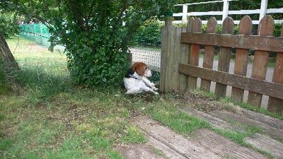 P1200814_resize1