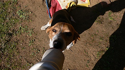 8c771865.jpg