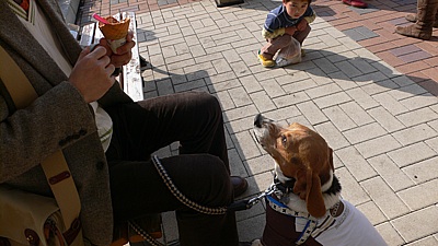 8d739234.jpg