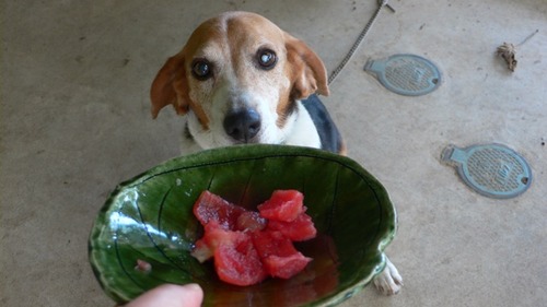 2012-09-18 10:00:15 写真1