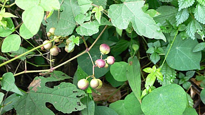 901aa547.jpg