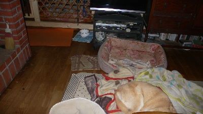 P1300245_resize1