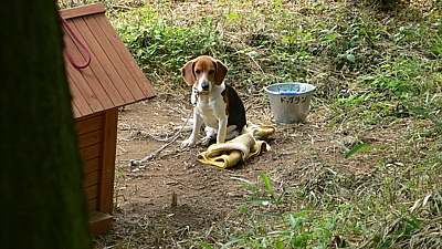 961829f6.jpg