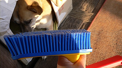 96f0a407.jpg