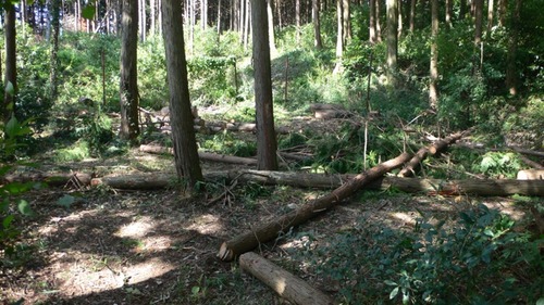 2012-10-04 19:59:11 写真2