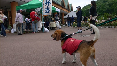 P1160668_resize1