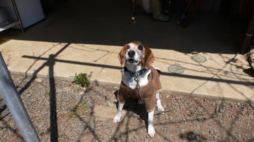 2013-04-14 17:44:07 写真10