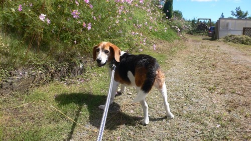 2012-10-04 19:59:11 写真7