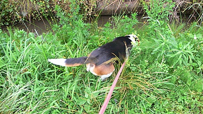 9f701f86.jpg