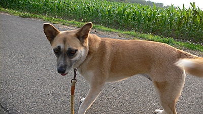 a023956c.jpg