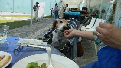 P1300520_resize1