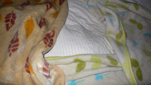 2013-05-02 10:26:25 写真2