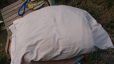 a3284e8d.jpg