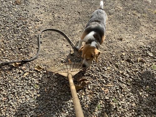 29F1370B-8A70-4C3A-BC9A-A40BE0D75966