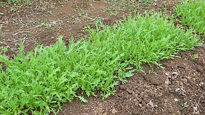 a5659e37.jpg