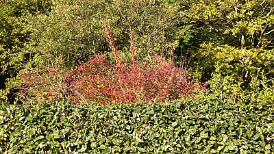 a5c2399d.jpg