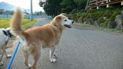 P1170607_resize1