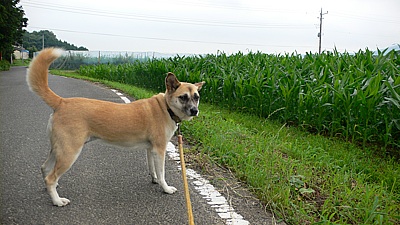 aaf57573.jpg