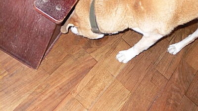 ae02303f.jpg