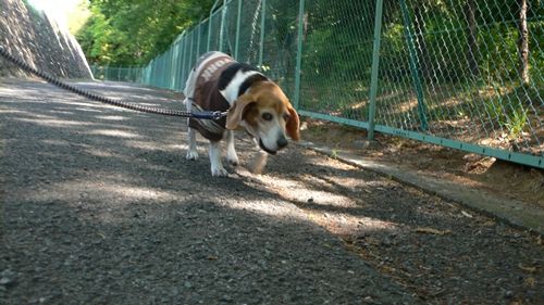 image08_resize