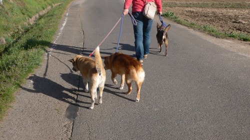 2013-03-24 20:59:49 写真3