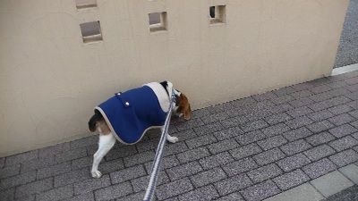 P1300277_resize1