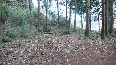 b38eb01c.jpg
