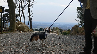 b44c1e58.jpg