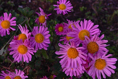 b493484a.jpg