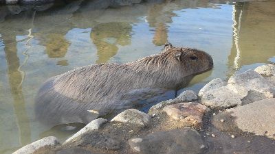 P1290230_resize1