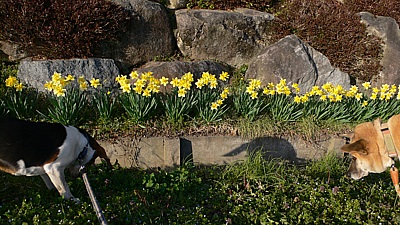 b9b2148e.jpg