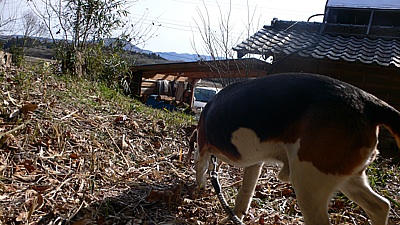 bb6509c0.jpg