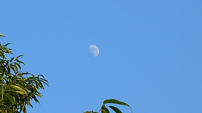 bb6702a0.jpg
