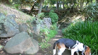 P1170912_resize1