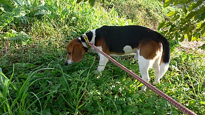 bbd8d220.jpg