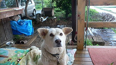 bd64d020.jpg
