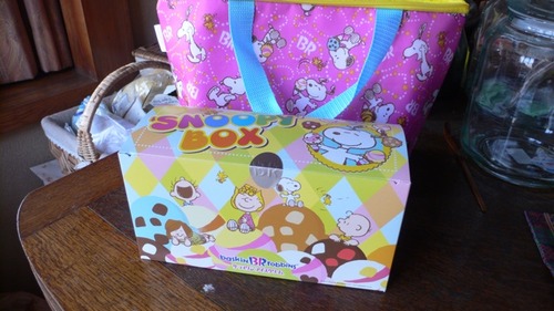2013-03-03 10:05:38 写真2