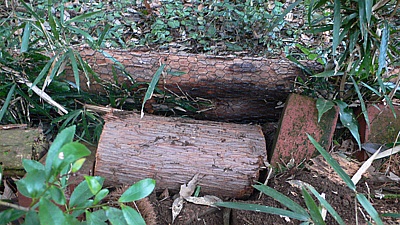 bdac3b1c.jpg