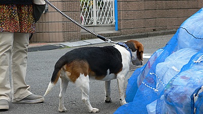 bdb27c98.jpg