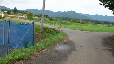 P1160862_resize1