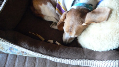 2012-10-21 22:10:45 写真3