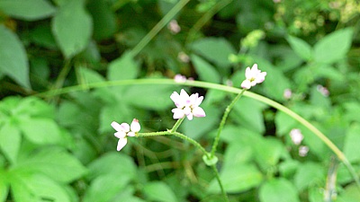 c0ac1607.jpg