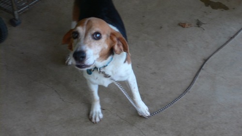2012-09-18 10:00:15 写真3
