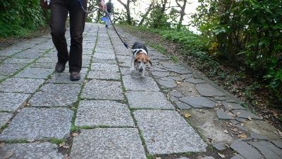 P1300552_resize1