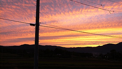 c3862b67.jpg