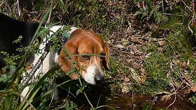 c70d0b49.jpg
