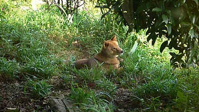 c72a20f7.jpg